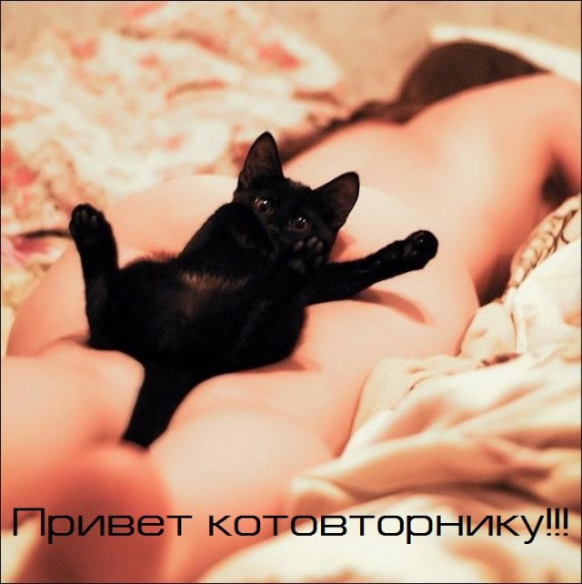 Котовторник 13.12.11 - магическе числа