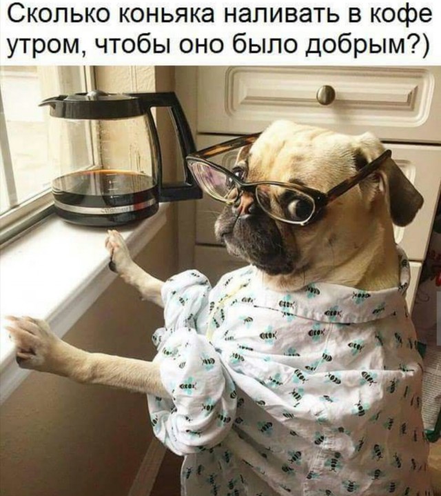 Калейдоскоп картинок