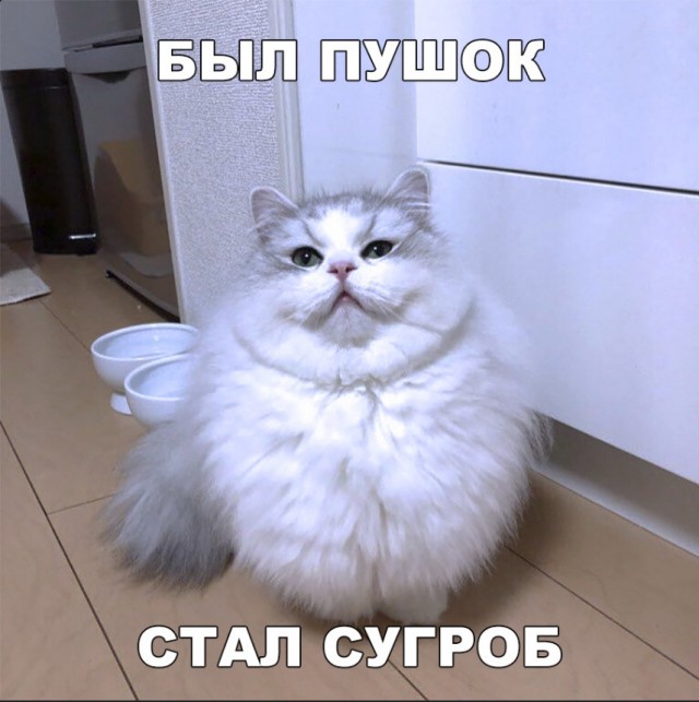 Нестандартный юмор