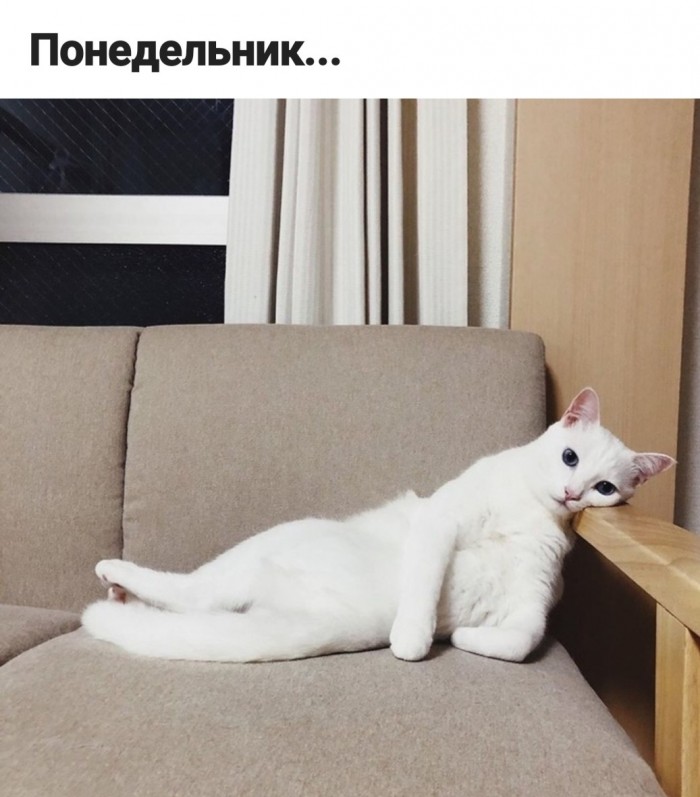 Миссия выполнима!
