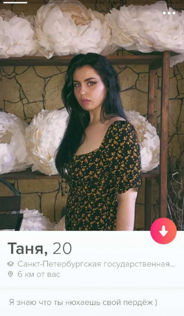 Бредзона из картинок