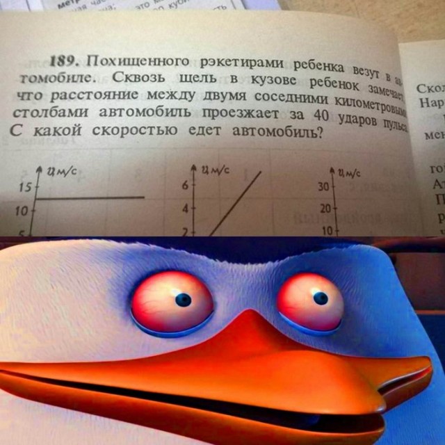 Немного картинок для настроения 26.03.20