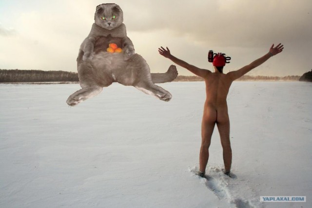 Фотожаба: Скоро зима