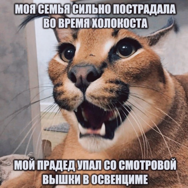 Аморальная деградация