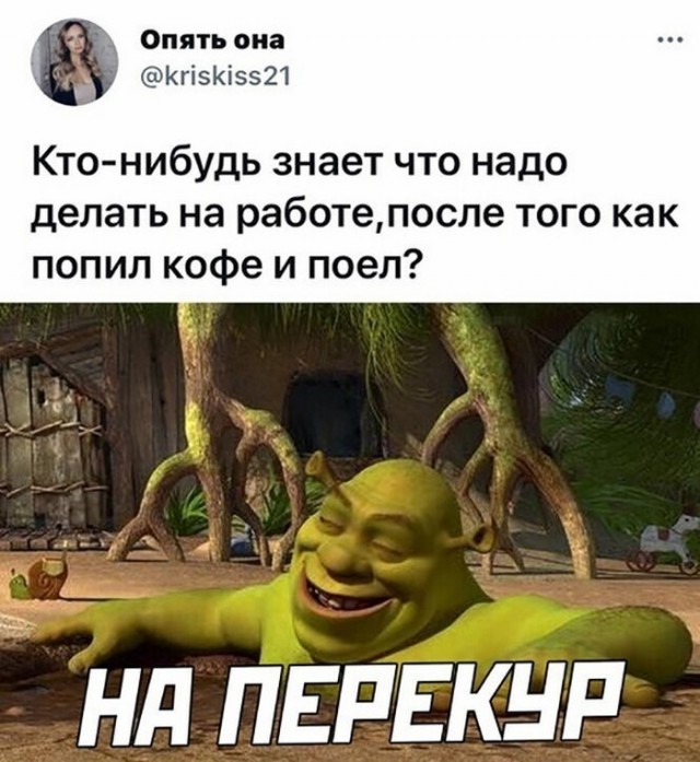 Картинки и мемы для настроения 024