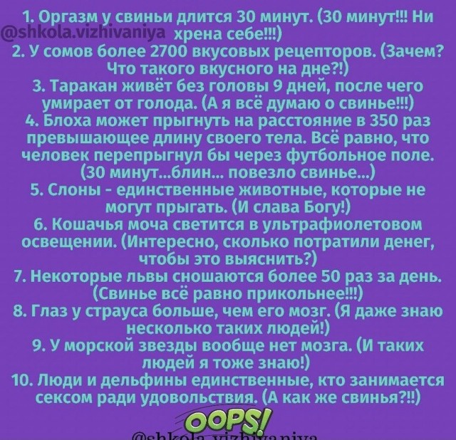 Забавные комментарии из социальных сетей 24.05.21