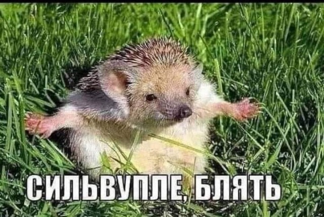 Как вытащить камешек из шины
