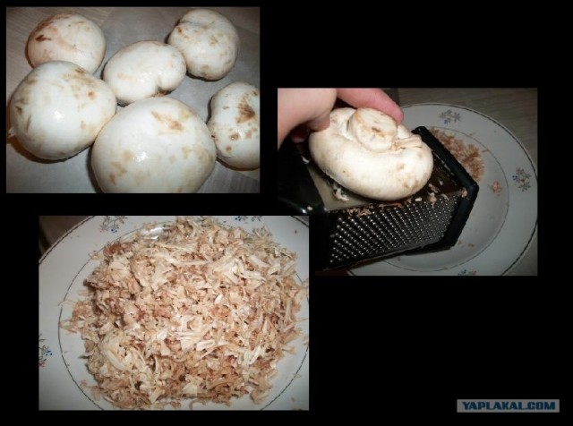 Куриная кардиология