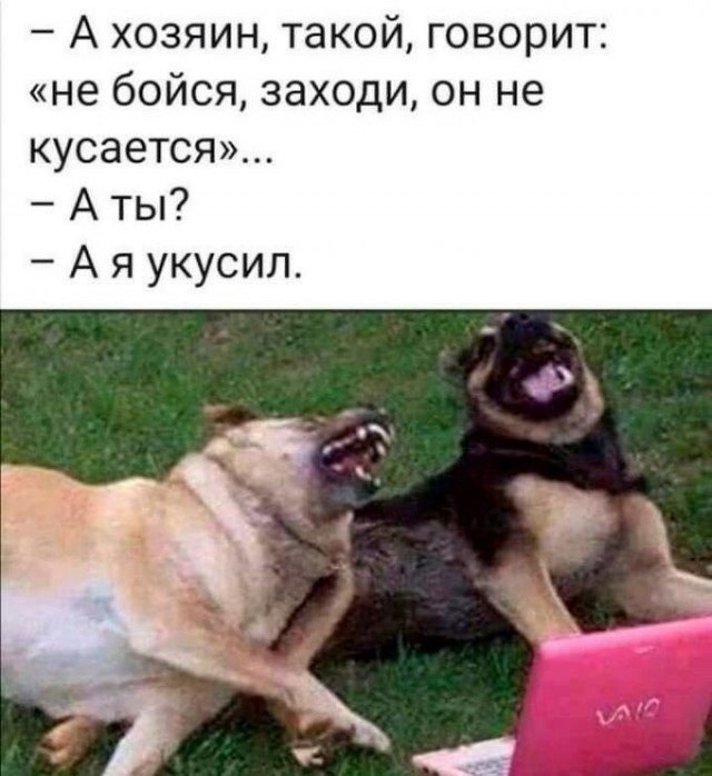 Картинки и мемы