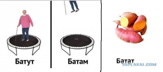 Опять о своих шлюхах думает...