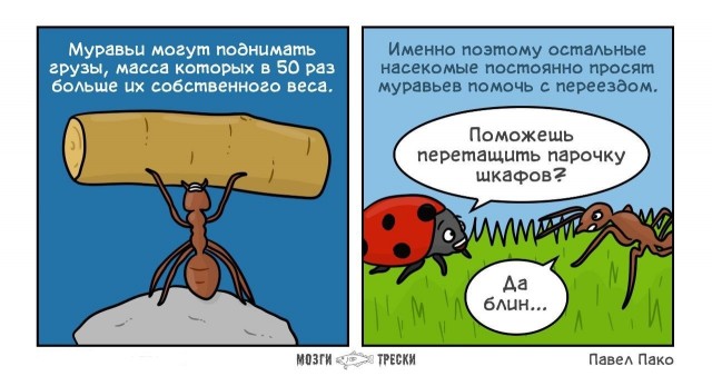 Дурацкие картинки