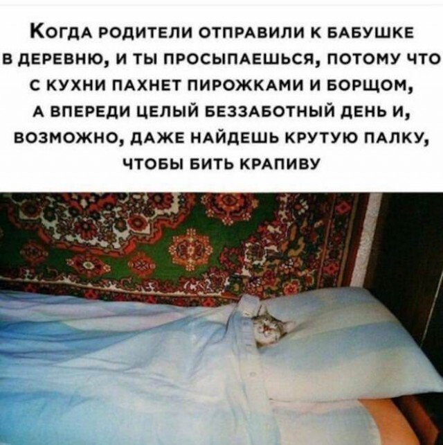 Картинки и мемы для настроения - 14