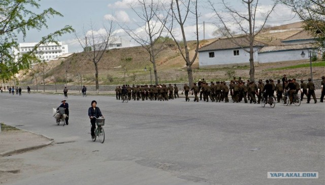 Северная Корея "в цвете"