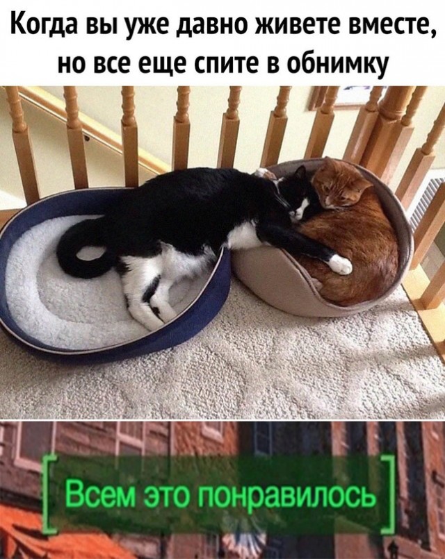 Картинки и мемы для настроения - 009