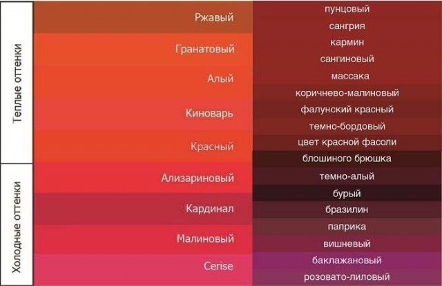 Бастрыкин доложил Путину, что теракт на Крымском мосту готовили украинские спецслужбы