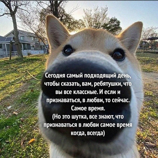 Картинки и мемы для настроения - 119
