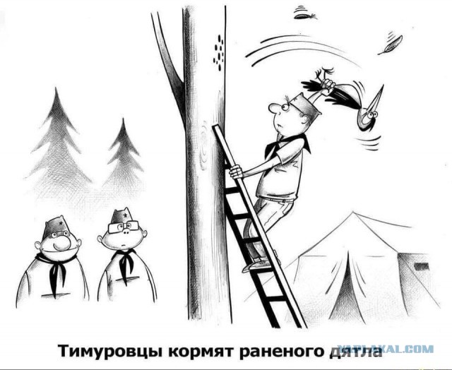 Как люди принимают доброту и вежливость за слабость