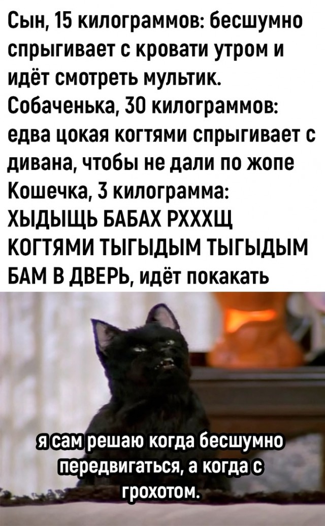 Так себе картинки 07.01.2023