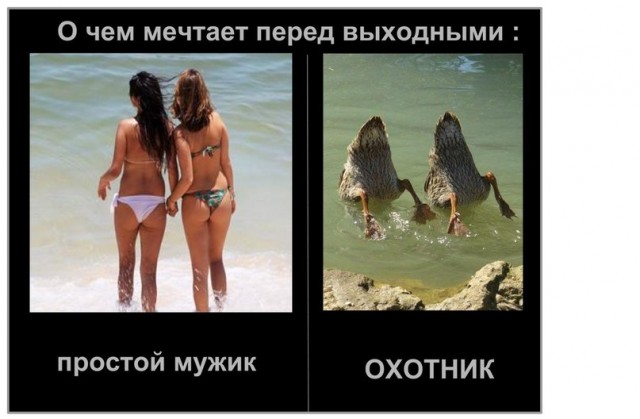 Каждый охотник желает знать...