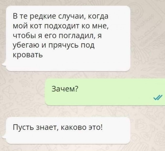 Так себе картинки 16.07.23