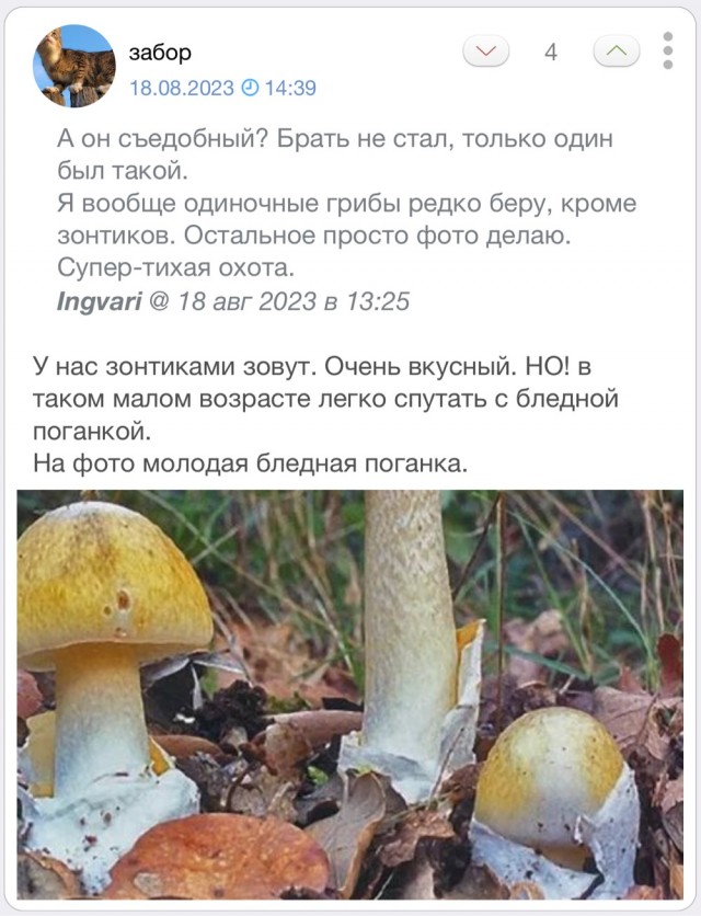 Нашел в Карелии краснокнижный гриб