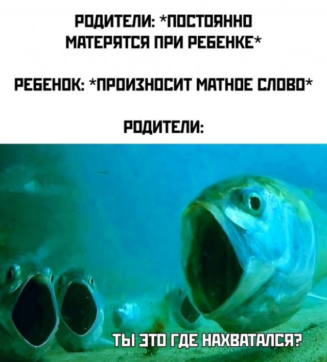 Юмор в картинках и без