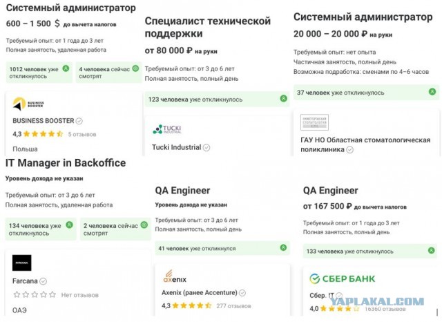 Россию заполонили «второсортные» ИТ-шники. Качественных специалистов разобрали, остальных из-за дефицита кадров, озолачивают
