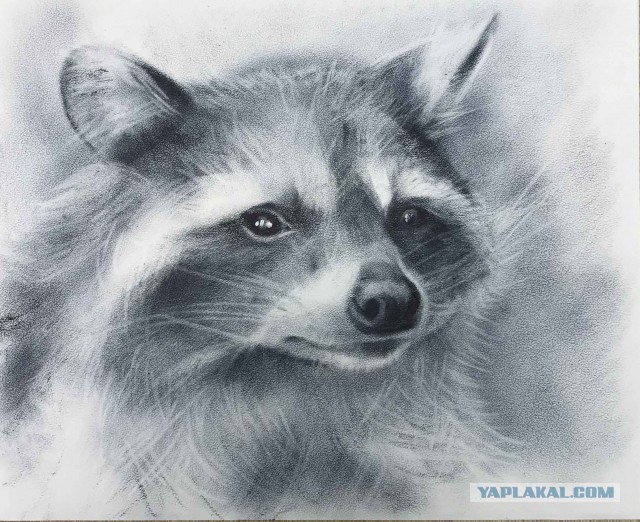 Графика в технике "Сухая кисть"