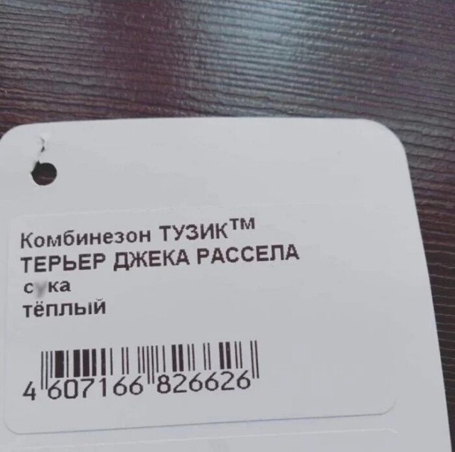 Десять пятничных картинок