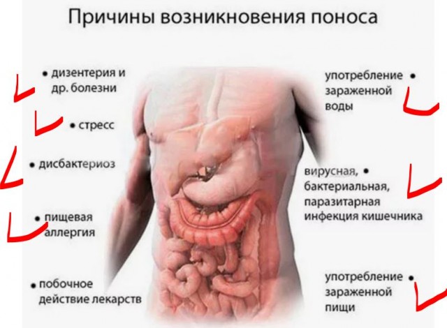 Закуска к пиву