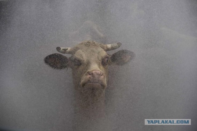 Стиль жизни