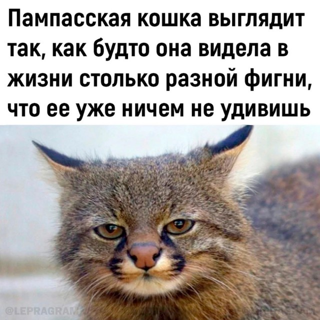 Сброс балласта. Картинки