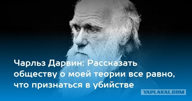 В Москве шестиклассница попыталась покончить с собой из-за того, что отчим разбил её планшет.