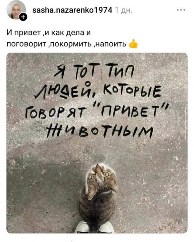 Веселые картинки (02.07)