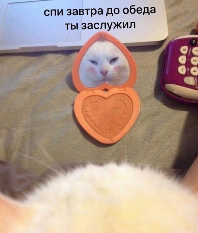 Картинок лопата