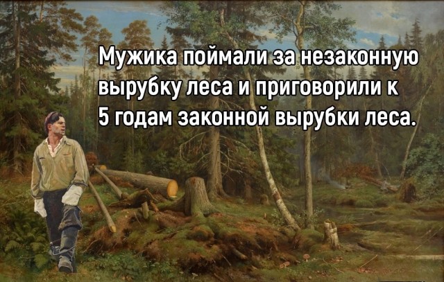Нуштош 05.11.2024