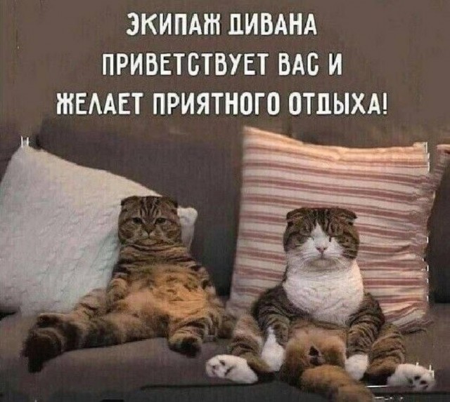 Всего понемногу. От 21.11.2024.