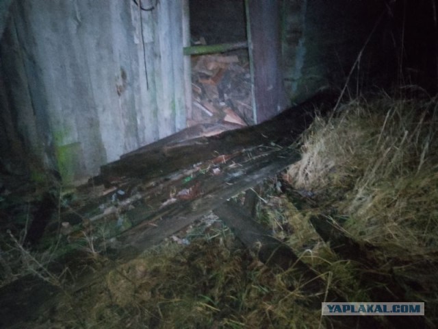 Жизнь домашнего приюта для котеек 525