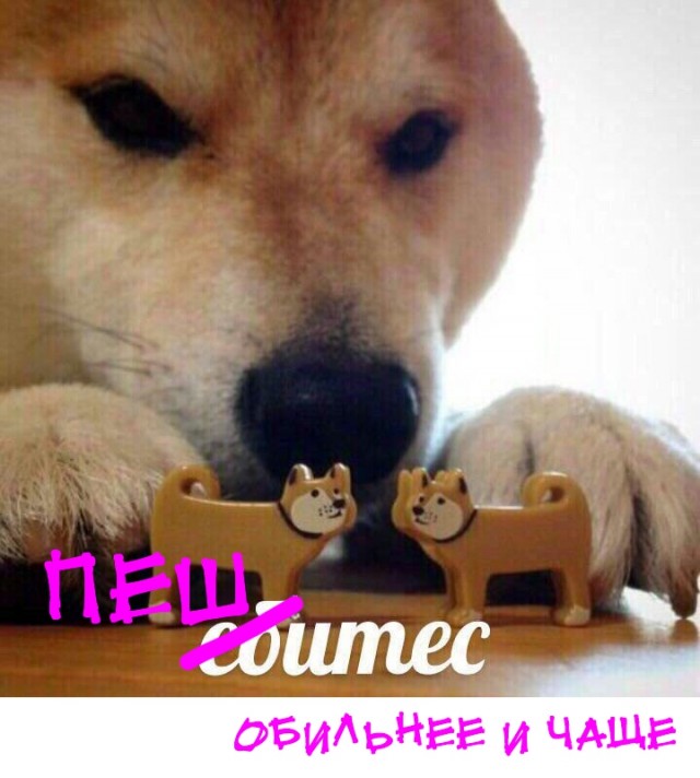Литературная беседка v.1