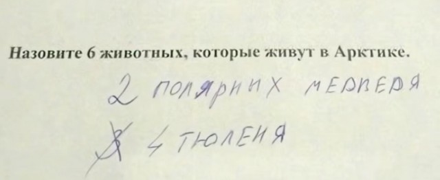 Завалялось тут случайно немного забавных картинок