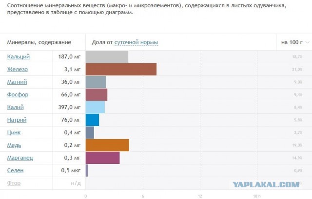 Чай из стеблей одуванчиков