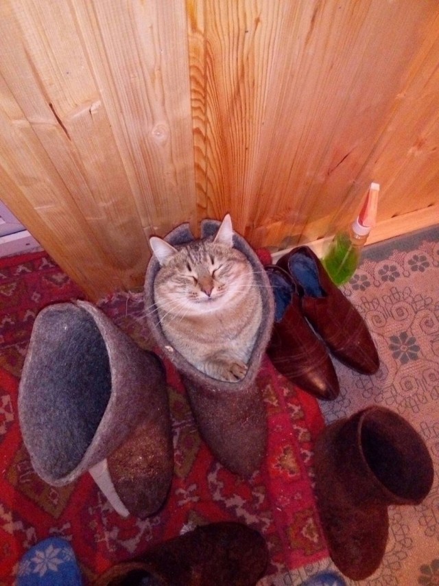 Делал потягушки и заснул