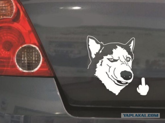 Водитель попал на штраф за «весёлую» наклейку