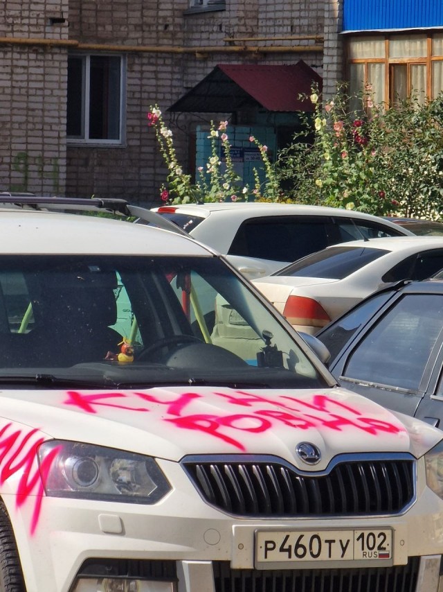 Ревность по-Салаватски