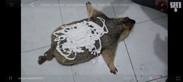 Стирка меха