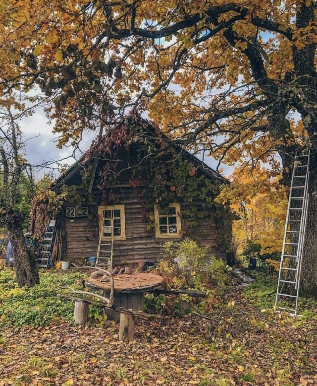 Прикольные и просто красивые картинки 10.10.2025