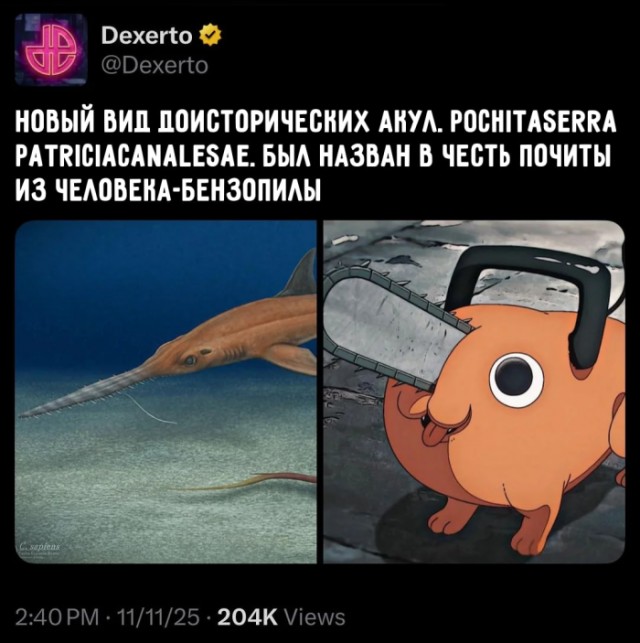 Картинки для деградации 87 (разной степени свежести)