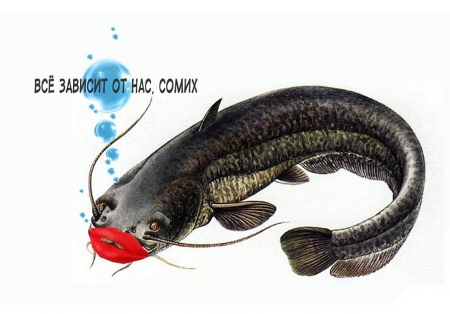 Дегрономикон 6