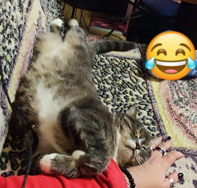 Нашелся таки хозяин (точнее хозяйка)