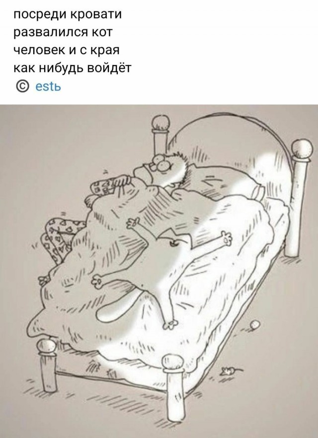 Тема дня
